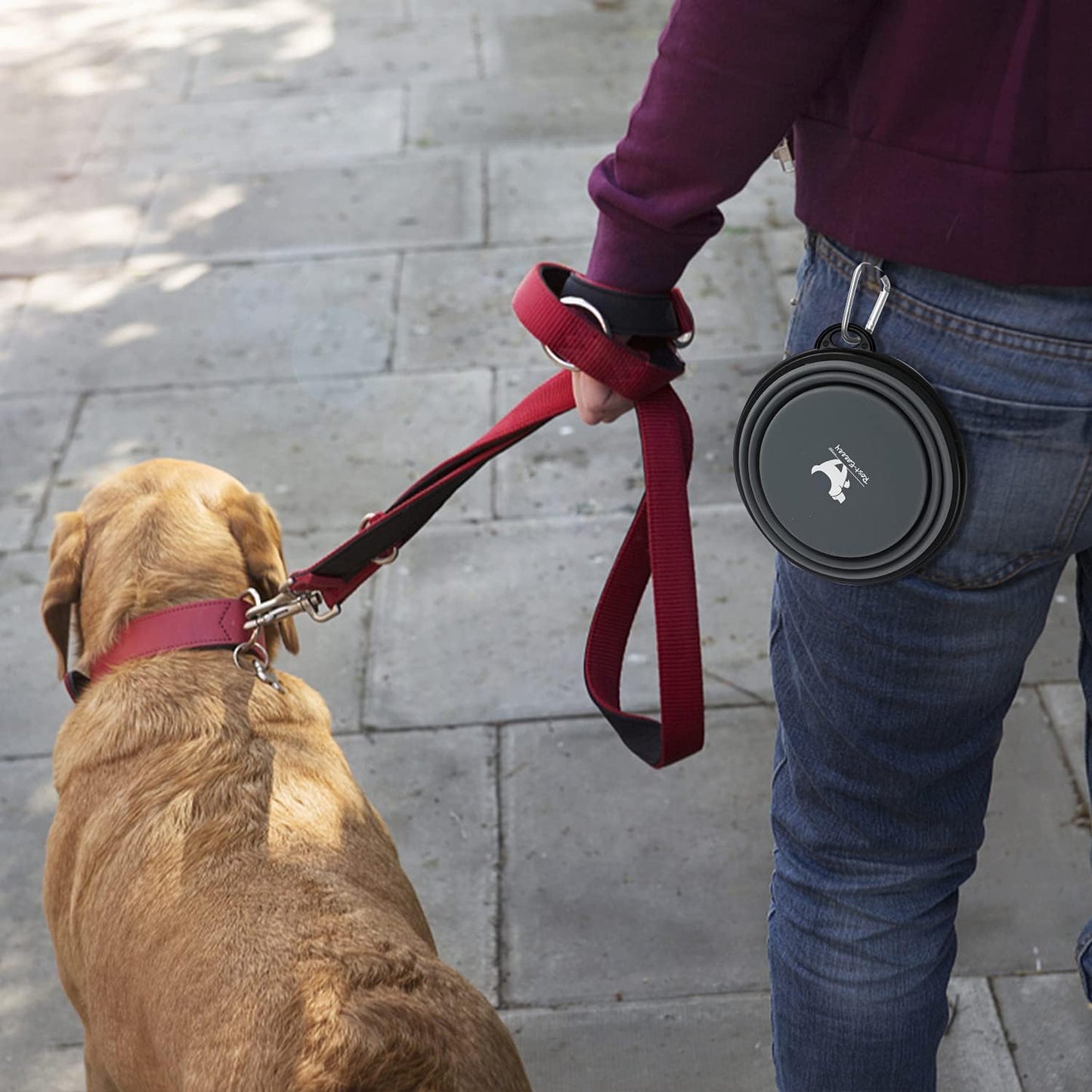 Collapsible Travel Dog Bowls - 2-Pack Portable Water and Feeding Dishes for Pets, Foldable Design with Carabiners, BPA Free (Medium, Grey & Pink)