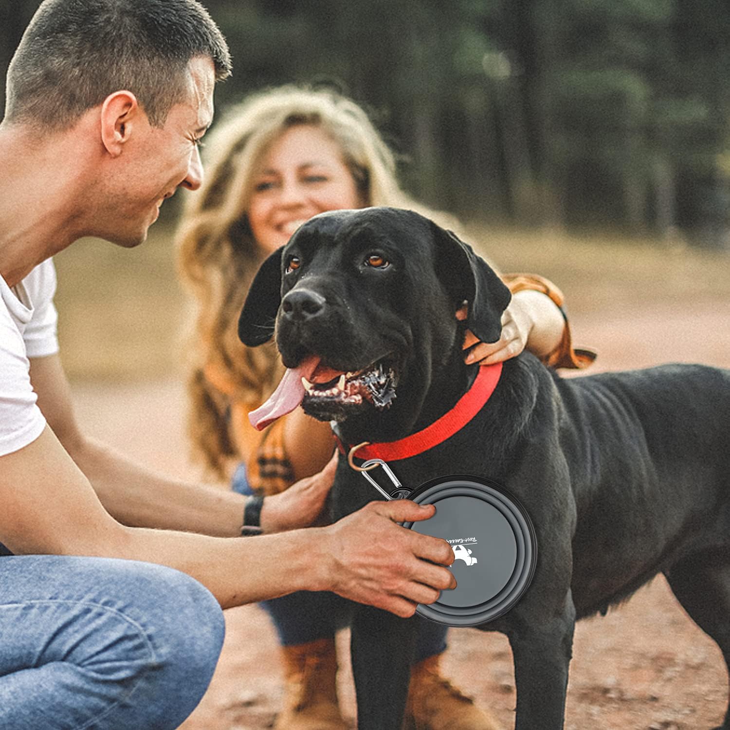 Collapsible Travel Dog Bowls - 2-Pack Portable Water and Feeding Dishes for Pets, Foldable Design with Carabiners, BPA Free (Medium, Grey & Pink)