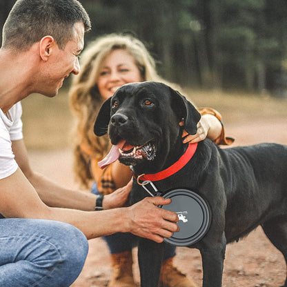 Collapsible Travel Dog Bowls - 2-Pack Portable Water and Feeding Dishes for Pets, Foldable Design with Carabiners, BPA Free (Medium, Grey & Pink)