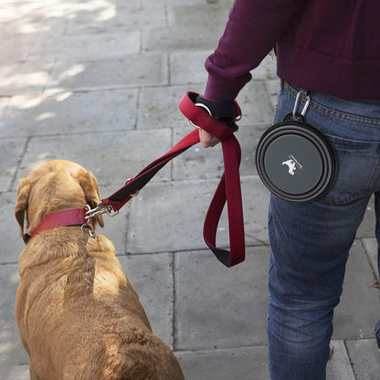 Collapsible Travel Dog Bowls - 2-Pack Portable Water and Feeding Dishes for Pets, Foldable Design with Carabiners, BPA Free (Medium, Grey & Pink)